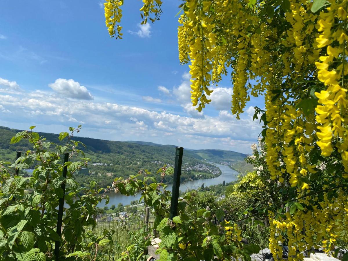 An Der Mosel 2 Apartment
