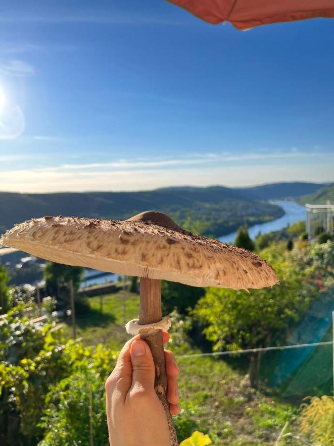 An Der Mosel 2 * Graach