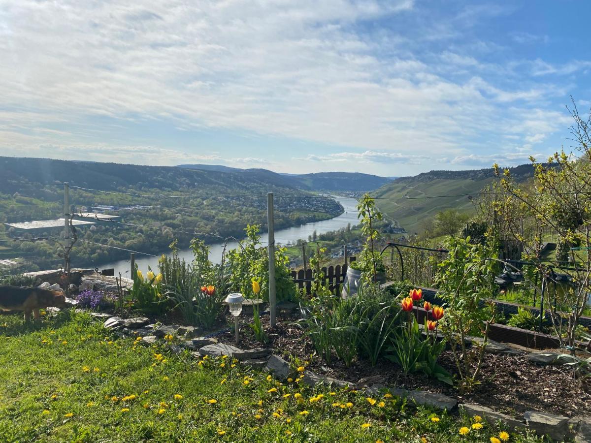 Apartment An Der Mosel 2