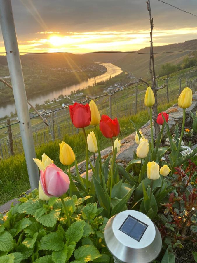 An Der Mosel 2 Apartament