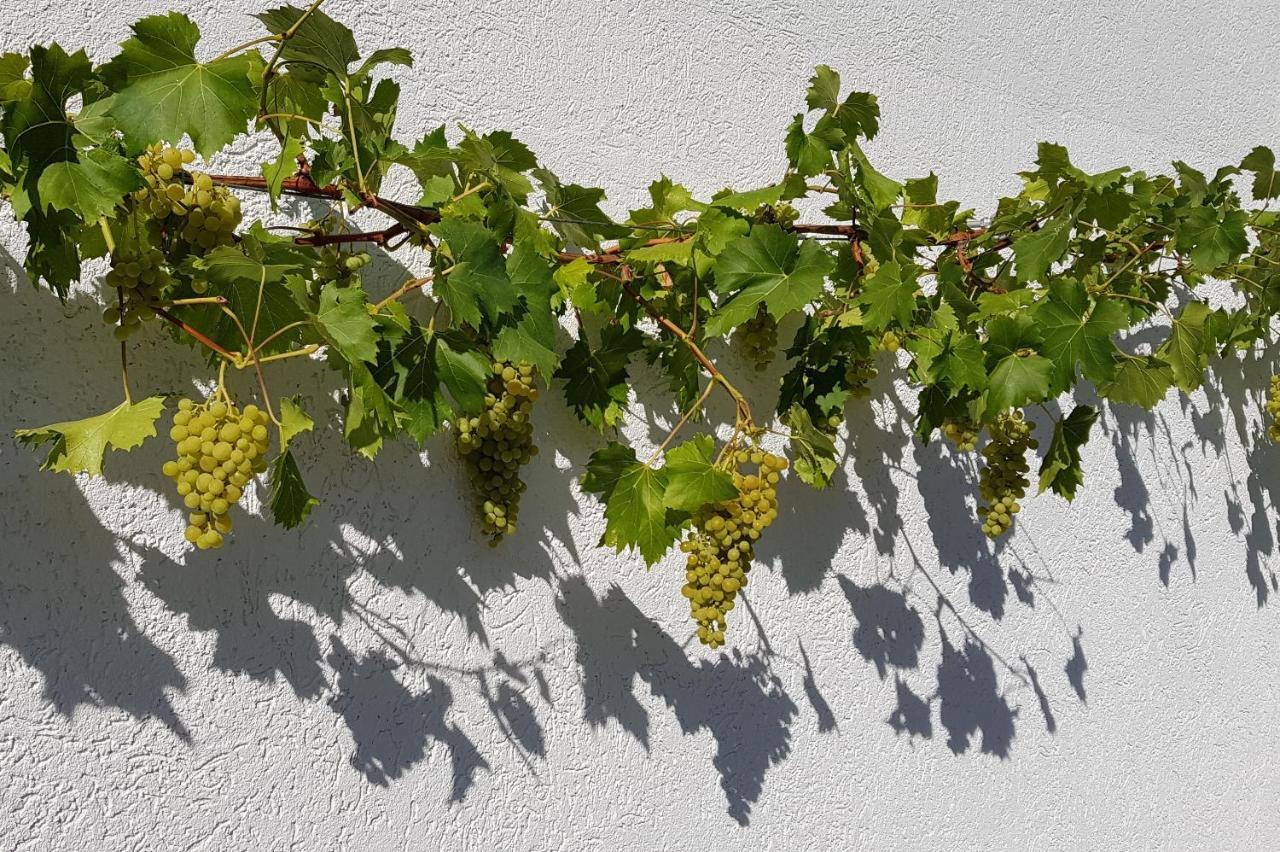 An Der Mosel 2 *