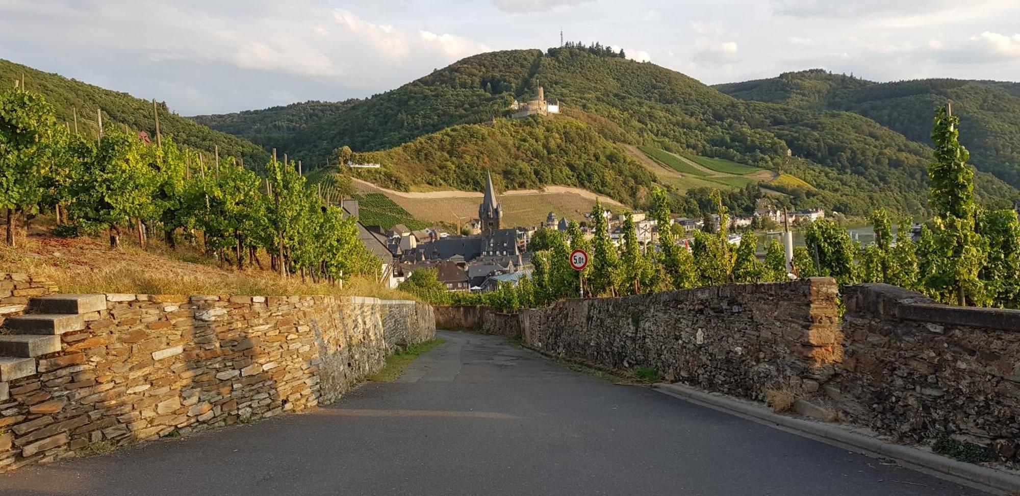 Apartment An Der Mosel 2