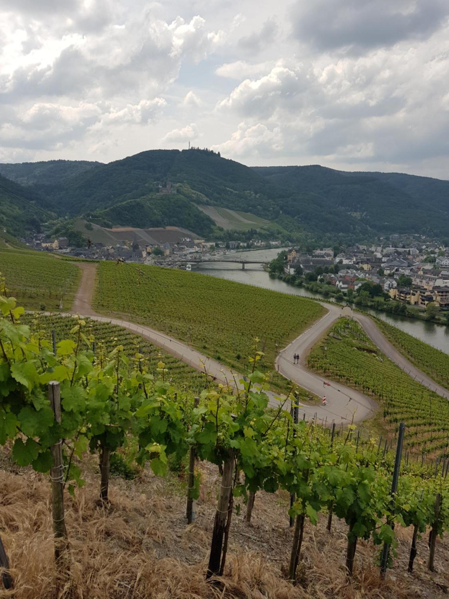 Apartment An Der Mosel 2 *