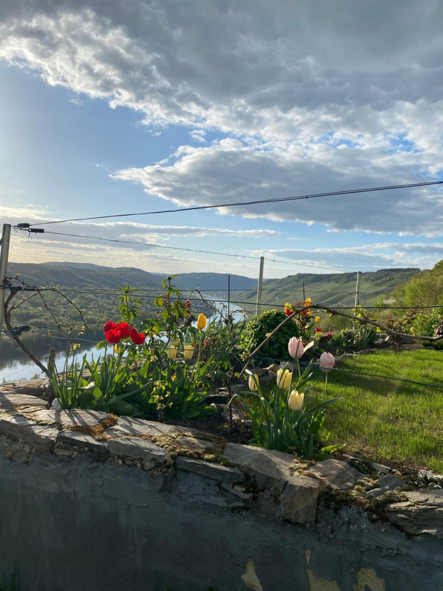 An Der Mosel 2 * Graach