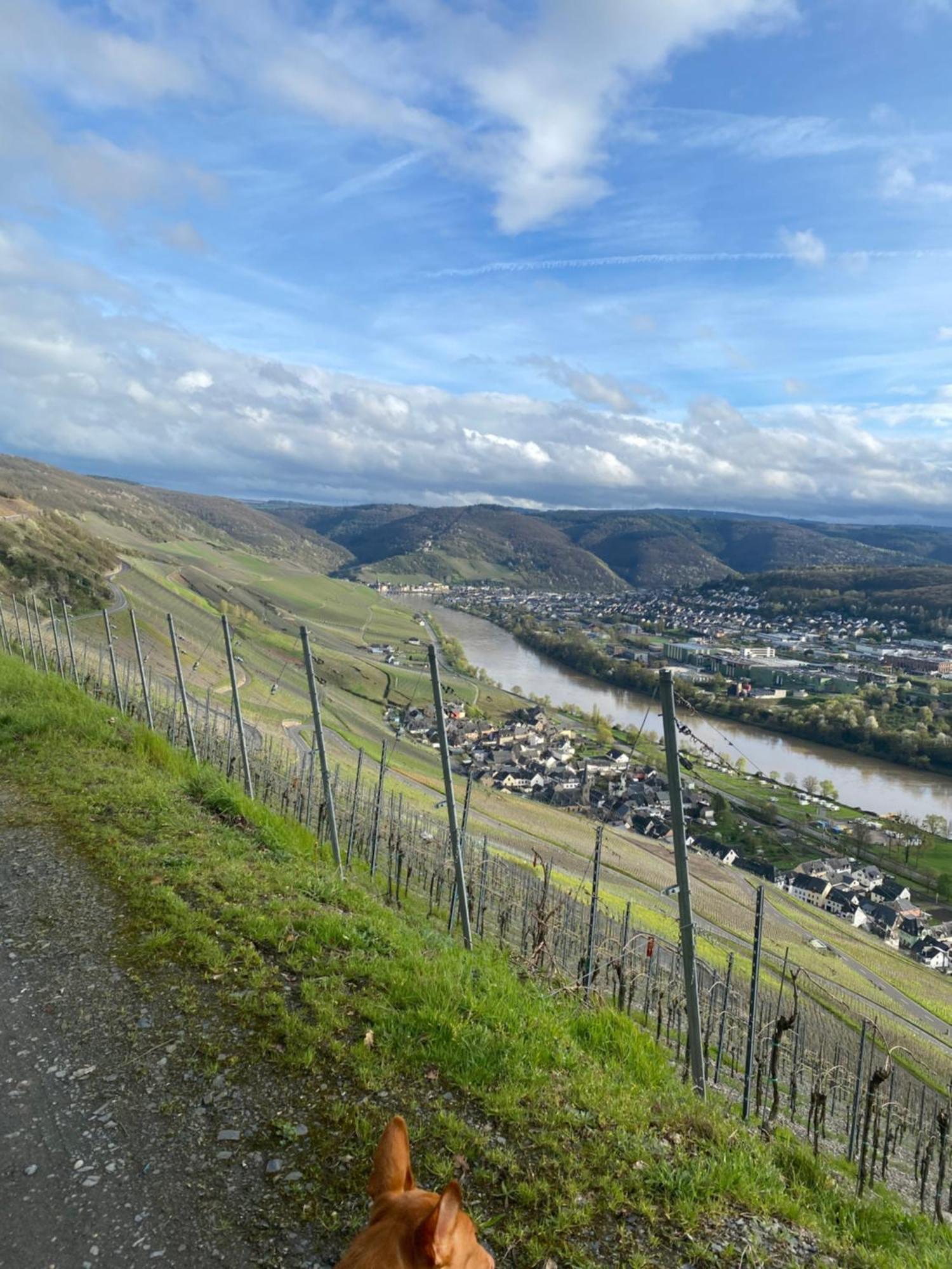 An Der Mosel 2 Apartament