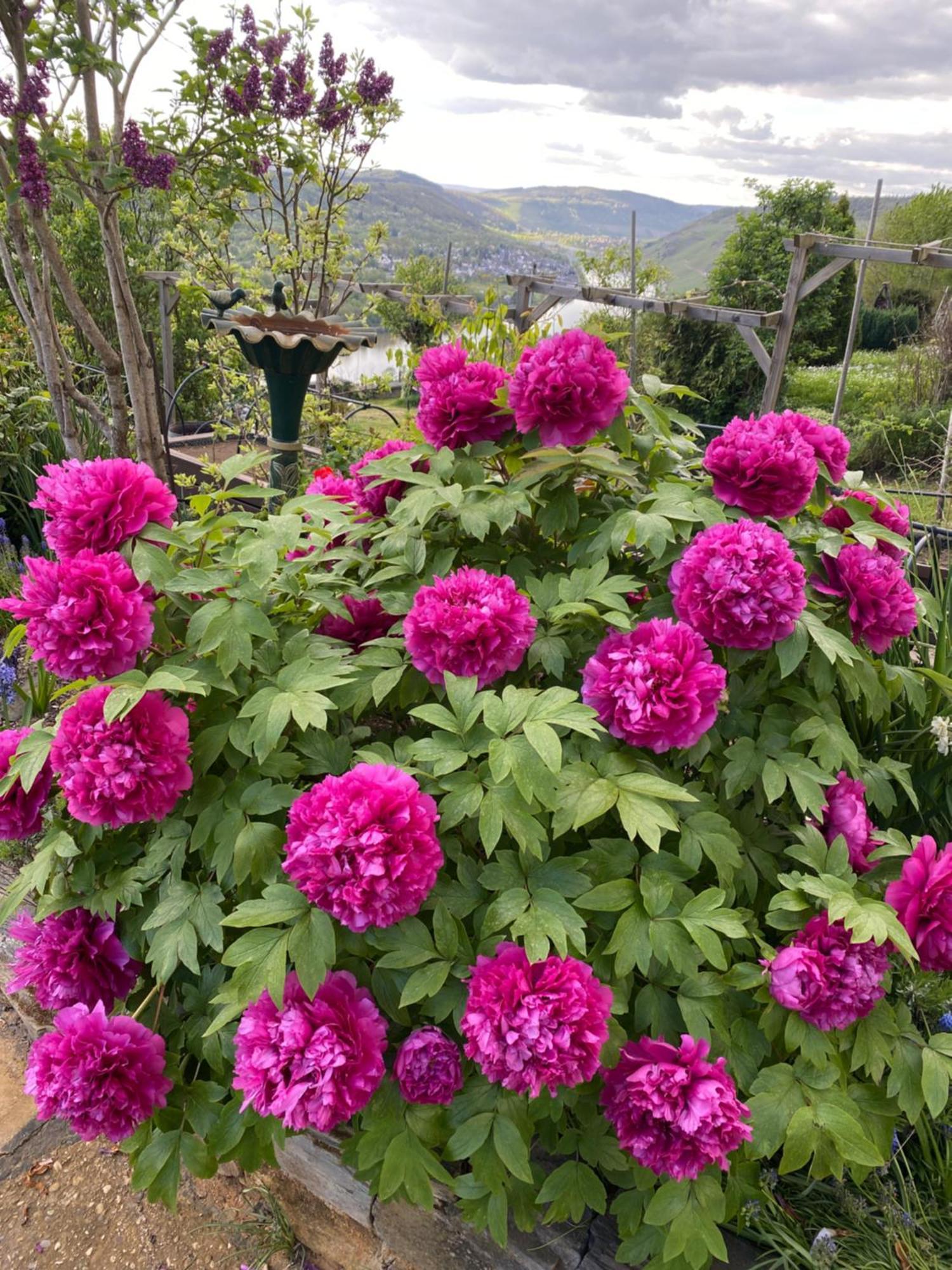 Apartament An Der Mosel 2