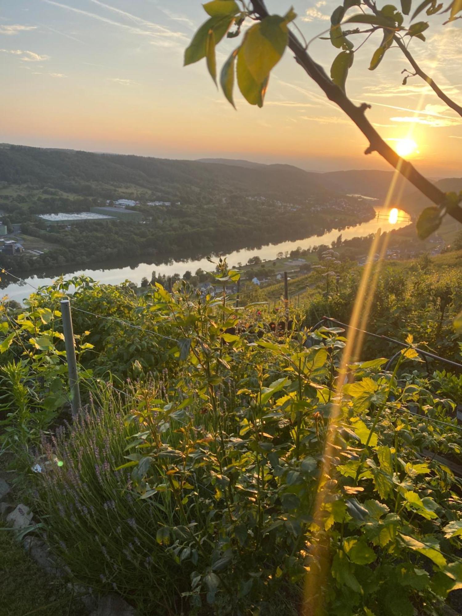 Apartament An Der Mosel 2 *